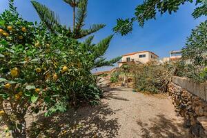 6 Bedroom Villa - San Miguel (28)