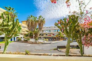 Квартира с 1 спальней - Playa Paraíso - Marina Palace (15)