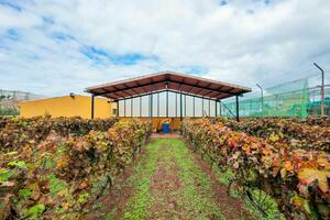 Вилла с 2 спальнями - Valle Guerra (64)