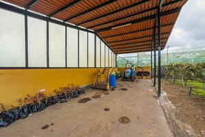 Вилла с 2 спальнями - Valle Guerra (65)