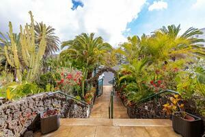 27 Bedroom Building - Chayofa (5)