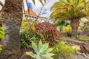 27 Bedroom Building - Chayofa (8)