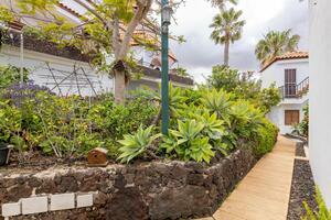 27 Bedroom Building - Chayofa (18)