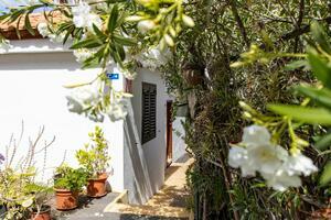 27 Bedroom Building - Chayofa (20)