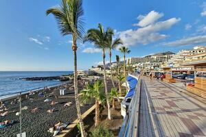 12 Bedroom Building - Puerto de Santiago (5)