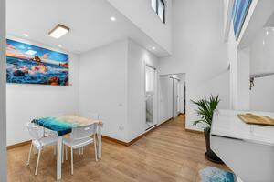 3 Bedroom Penthouse - Playa San Juan (0)
