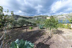 3 Bedroom House - Guía de Isora (27)