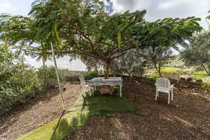 3 Bedroom House - Guía de Isora (28)