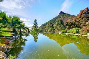 Estate - Vilaflor (0)