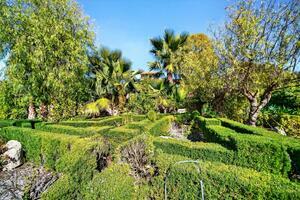 Estate - Vilaflor (1)