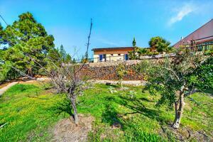 Estate - Vilaflor (2)