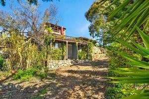 Estate - Vilaflor (3)