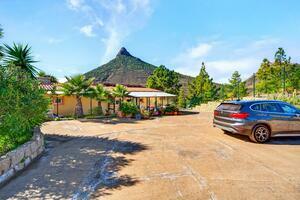 Estate - Vilaflor (4)