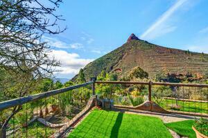 Estate - Vilaflor (35)