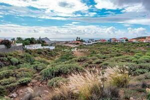 Земля - San Isidro (1)