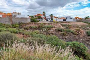 Земля - San Isidro (3)