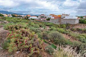 Земля - San Isidro (8)