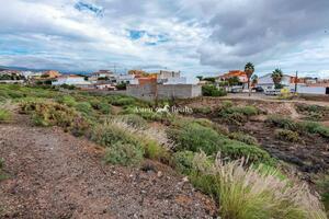 Земля - San Isidro (9)