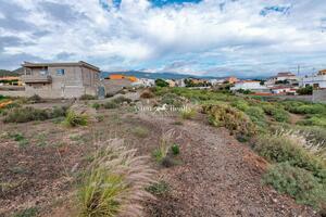 Земля - San Isidro (10)