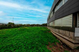 Building - La Laguna — photo 7 of 19