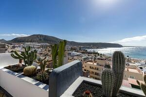 Apartamento de 2 dormitorios - Los Cristianos - Cactus (1)