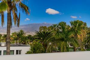 Bungalow di 2 Camere - Costa del Silencio (23)