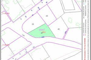 Terreno - El Sauzal (1)