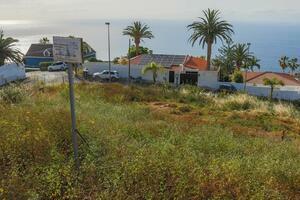 Terreno - El Sauzal (17)