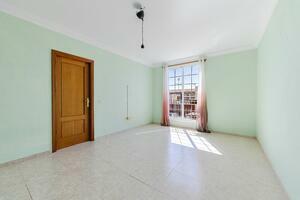14 Bedroom Building - Las Galletas — photo 12 of 24