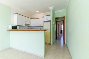 14 Bedroom Building - Las Galletas — photo 13 of 24