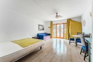 Studio - Los Cristianos - Royal Palm (8)