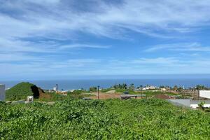 Terreno - La Orotava — photo 10 of 12