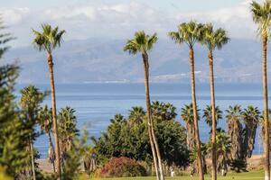 Villa mit 5 Schlafzimmern -  La Caleta (45)