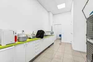 Traspaso - La Camella  (13)