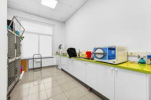 Traspaso - La Camella  (14)