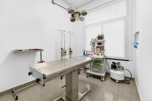 Traspaso - La Camella  (15)