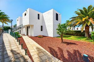Appartamento di 2 Camere - Playa de Las Américas - Apartamérica (0)