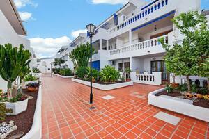 Studio - Los Cristianos - Port Royale — photo 2 of 17