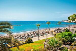 Leasehold - Playa de Las Américas — photo 2 of 11