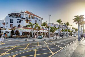 Leasehold - Playa de Las Américas — photo 9 of 11