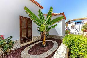 Studio - Playa de Las Américas - Paraiso Royal — photo 5 of 20