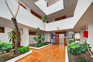 1 Bedroom Apartment - San Eugenio Bajo - Garden City — photo 17 of 22