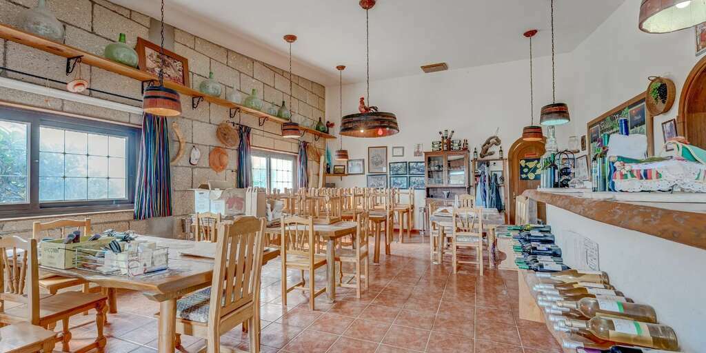 Domain - Vilaflor - Bodega Viñaflor