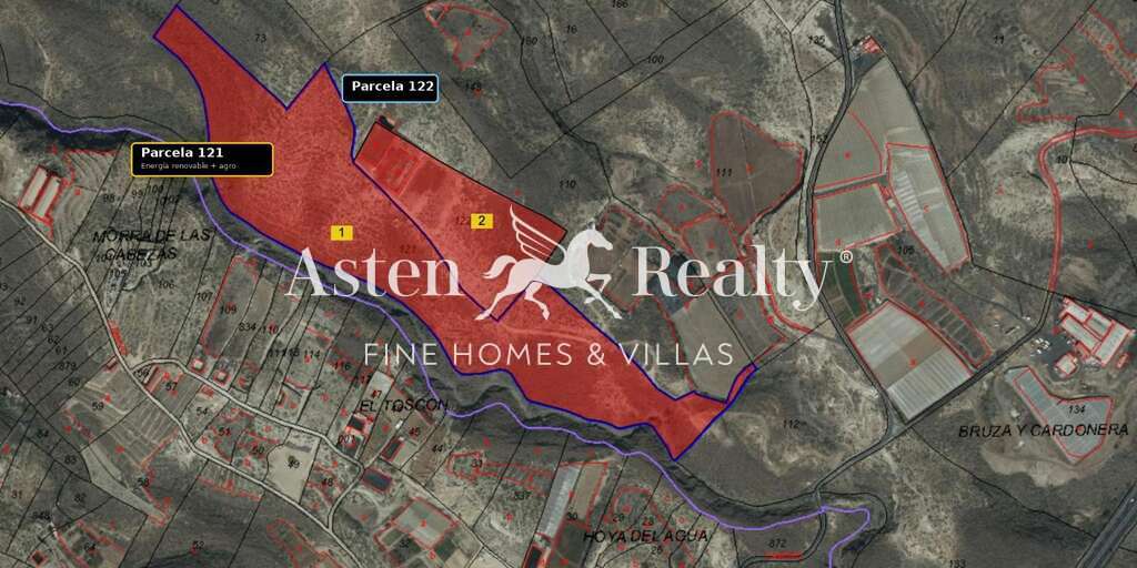 Land - Fasnia